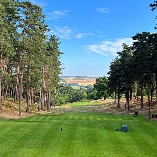 Team Entry - Golf Day